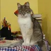 Отзыв от Наиля Лукьянова
